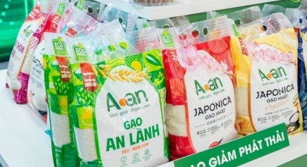 Xây dựng nhãn hiệu “Gạo Việt Xanh phát thải thấp”, nâng tầm hạt gạo Việt