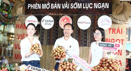 Phó Chủ tịch tỉnh Bắc Ninh livestream 'chốt đơn' hơn 31 tấn vải thiều