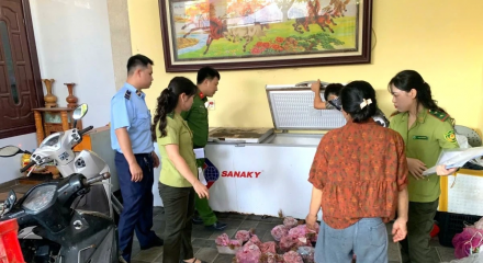 Thanh Hóa: Phát hiện 290 cá thể cò hương cấp đông chờ đưa đi tiêu thụ