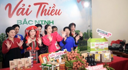 Chất lượng và chuyển đổi số là “giấy thông hành” cho vải thiều Bắc Ninh