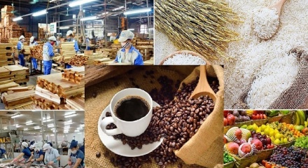 Xuất khẩu nông lâm thủy sản bứt phá mạnh, vượt mốc 30 tỷ USD