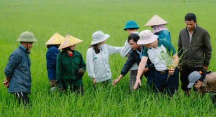 Từ 3,4 triệu hộ sản xuất giỏi, Hội Nông dân đặt mục tiêu hình thành 5.000 doanh nghiệp nông nghiệp