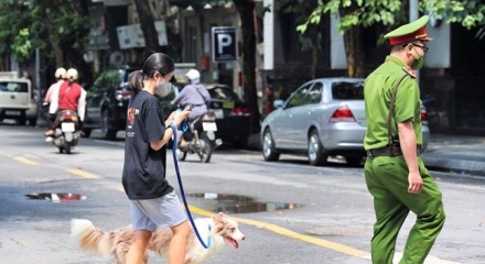 Từ 1/8, phạt tới 2 triệu đồng nếu dắt chó ra đường không rọ mõm