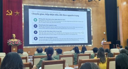 Trao quyền mạnh cho địa phương, đẩy nhanh tiến độ xử lý nhà, đất dôi dư sau sắp xếp