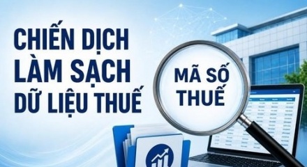 Cục thuế phát động chiến dịch làm sạch mã số thuế trên toàn quốc