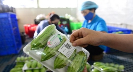 Bộ Công Thương tạm ngưng hiệu lực quy định truy xuất nguồn gốc thực phẩm đến hết 30/9