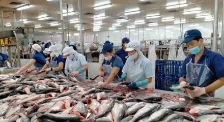 Lộ trình đưa xuất khẩu nông sản cán đích 100 tỷ USD vào năm 2027