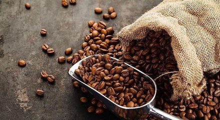 Minh bạch dữ liệu là “chìa khóa” để cà phê Việt vượt rào cản EUDR
