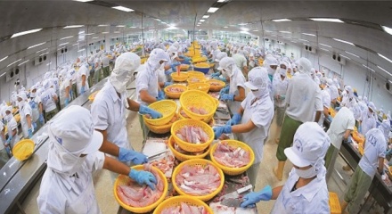 Ngành thủy sản Việt cần tháo gỡ 'điểm nghẽn' để bứt phá
