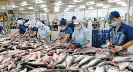 Xuất khẩu thủy sản khởi sắc, hướng tới mục tiêu 12 tỷ USD
