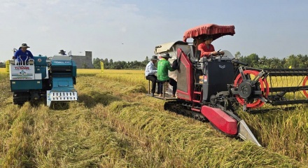 Thúc đẩy lúa gạo phát thải thấp, chìa khóa nâng tầm giá trị hạt gạo Việt