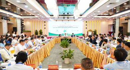 Đà Nẵng thúc đẩy hợp tác quốc tế, đưa sâm Ngọc Linh vươn tầm thương hiệu toàn cầu
