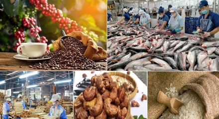 Xuất khẩu nông, lâm, thủy sản tăng trưởng ấn tượng, đạt gần 42,8 tỷ USD