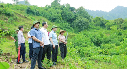 Thanh Hóa: Nước suối Xủ chuyển màu bất thường, địa phương đề nghị xác định nguyên nhân 