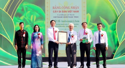 Quảng Ninh: Khai mạc lễ hội “Trà Đường Hoa” và đón Bằng công nhận Cây chè Di sản Việt Nam