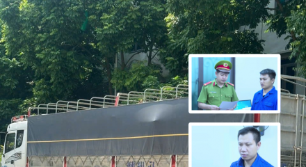 Hưng Yên: Khởi tố, bắt tạm giam 2 người liên quan hơn 18m³ gỗ