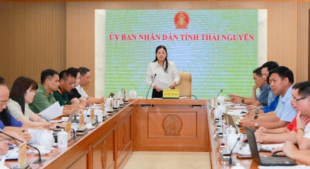 Thái Nguyên tăng tốc chuẩn bị Festival Trà Quốc tế năm 2026