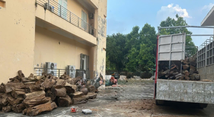 Vụ vận chuyển hơn 18m³ gỗ từ Thanh Hóa ra Hưng Yên: Xác định thuộc nhóm IA