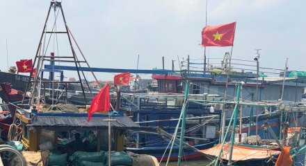 Nghệ An thực hiện nghiêm túc các khuyến nghị về chống khai thác IUU