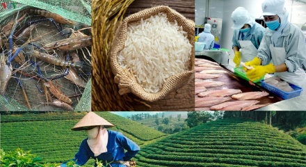 Biến danh tiếng vùng đất thành sức cạnh tranh cho hàng nông sản