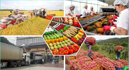 Ngành nông nghiệp Việt Nam hướng tới mục tiêu xuất khẩu 74 tỷ USD