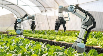 Top 10 công ty uy tín ngành nông nghiệp công nghệ cao 2026