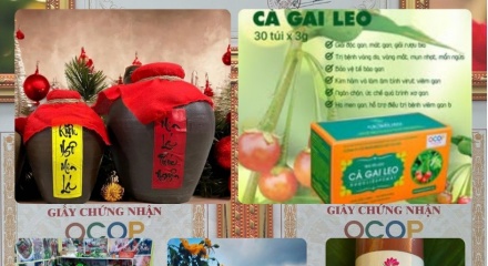Xây dựng thương hiệu, mở rộng thị trường và gia tăng giá trị sản phẩm OCOP