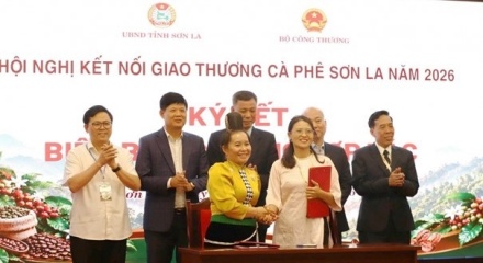 Kết nối giao thương, đưa cà phê Sơn La chinh phục thị trường quốc tế