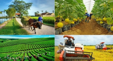 Quy định mới nhất về cơ chế phát triển sản xuất liên kết theo chuỗi giá trị