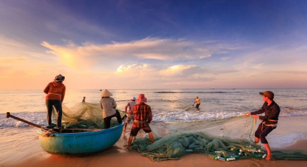 Nước Mắm Nam Ô - “Báu vật” của làng chài cổ