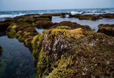   Cồn Cỏ &ndash; với diện t&iacute;ch 2,5 km2, l&agrave; đảo tiền ti&ecirc;u của tổ quốc, mang trong m&igrave;nh&nbsp;những gi&aacute; trị đặc biệt &ndash; đang hội tụ đầy đủ điều kiện để trở th&agrave;nh một m&ocirc; h&igrave;nh ph&aacute;t&nbsp;triển ti&ecirc;u biểu. Nơi đ&acirc;y sở hữu hệ sinh th&aacute;i biển đa dạng, rạn san h&ocirc; phong ph&uacute;,&nbsp;cảnh quan c&ograve;n nguy&ecirc;n sơ, c&ugrave;ng vị tr&iacute; chiến lược tr&ecirc;n tuyến du lịch biển miền&nbsp;Trung.  