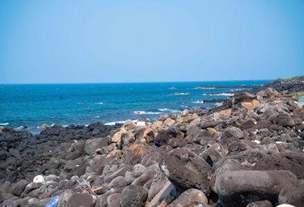   Nước biển xanh m&aacute;t v&agrave; v&ugrave;ng biển chung quanh đảo Cồn Cỏ sở hữu một hệ sinh th&aacute;i san h&ocirc; v&ocirc; c&ugrave;ng phong ph&uacute; v&agrave; đa dạng. Hiện c&oacute; khoảng 109 ho&agrave;i san h&ocirc; kh&aacute;c nhau ở v&ugrave;ng biển của đảo Cồn Cỏ, trong số đ&oacute; c&oacute; san h&ocirc; đỏ v&agrave; san h&ocirc; đen v&ocirc; c&ugrave;ng qu&yacute; hiếm. Trải nghiệm lặn biển, ngắm san h&ocirc; cũng l&agrave; một hoạt động th&uacute; vị tr&ecirc;n đảo.  