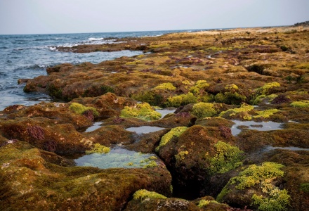 Đảo Cồn Cỏ c&oacute;&nbsp;hệ sinh th&aacute;i biển đa dạng,&nbsp;cảnh quan c&ograve;n nguy&ecirc;n sơ, c&ugrave;ng vị tr&iacute; chiến lược tr&ecirc;n tuyến du lịch biển miền&nbsp;Trung.