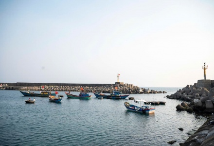 Đ&agrave;o Cồn Cỏ c&oacute; tiềm năng lớn về hậu cần nghề c&aacute;, chế biến thuỷ sản