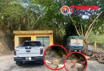 Thanh Hóa: Liên tiếp phát hiện 2 vụ vận chuyển trái phép gỗ sa mu