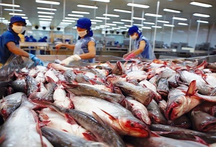 Thêm 6 nhà máy chế biến cá tra tại Việt Nam được xuất khẩu sang Mỹ