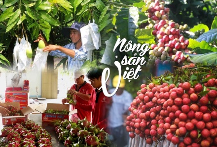 Việt Nam đẩy mạnh xuất khẩu nông sản sang thị trường Á - Phi