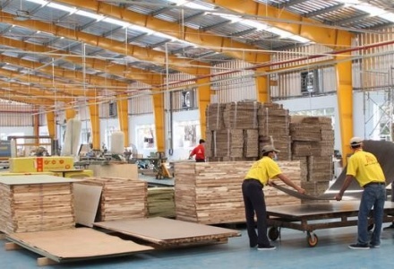 Việt Nam nằm trong top 5 thị trường xuất khẩu gỗ dán lớn trên thế giới