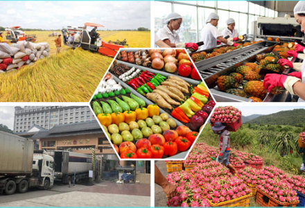 Tăng cường kiểm tra, giám sát doanh nghiệp xuất khẩu nông sản sang Trung Quốc