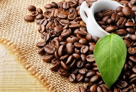 Xuất khẩu cà phê sang thị trường Hà Lan tăng trưởng mạnh