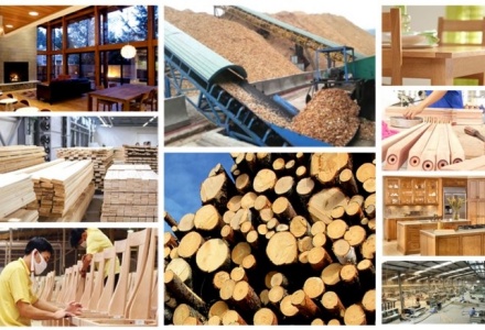 Xuất khẩu gỗ và sản phẩm gỗ khởi sắc trong tháng đầu năm 2024