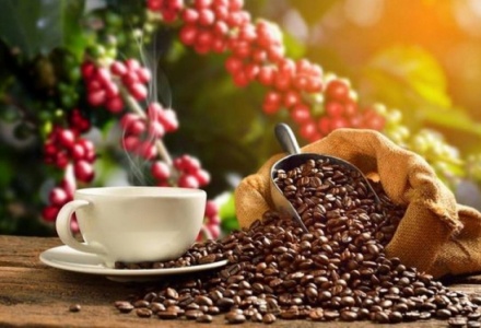 Dự báo xuất khẩu cà phê sẽ khởi sắc trong quý II/2024