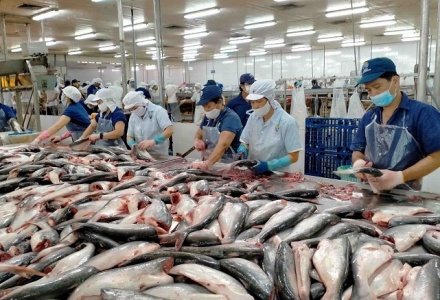 Dự báo giá xuất khẩu cá tra Việt Nam sẽ tăng 10% trong quý 3/2024