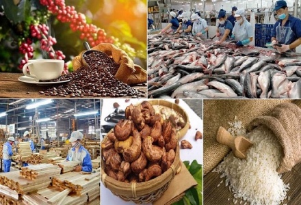 Xuất khẩu nông lâm thuỷ sản đạt trên 29 tỷ USD trong 6 tháng