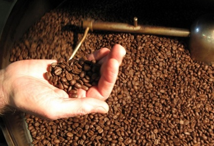 Xuất khẩu cà phê sang thị trường ASEAN liên tục khởi sắc