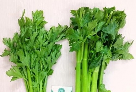 Rau cần tây ăn 2 lần/tuần giúp dưỡng gan, thải độc tốt