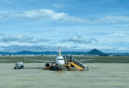 Tận dụng cơ hội để 'săn' vé máy bay giá rẻ giữa cao điểm du lịch hè 2025