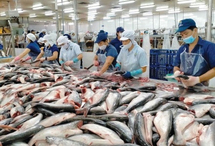 Xuất khẩu thủy sản Việt vượt khó, tăng trưởng ấn tượng trong 7 tháng