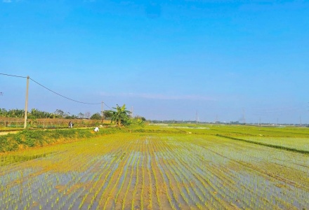 HTX Dịch vụ sản xuất và Kinh doanh tổng hợp Hòa Tiến 1: “Bà đỡ” phát triển kinh tế hộ thành viên