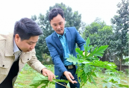 HTX Nông nghiệp thực phẩm Thanh Lâm Phú Thọ: Chuyển dịch cơ cấu kinh tế nông thôn, tạo sinh kế bền vững cho người dân